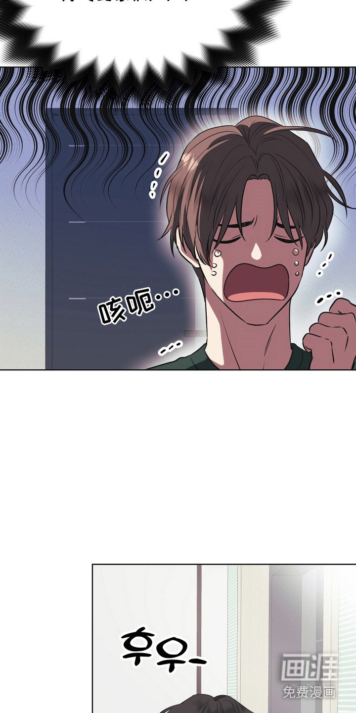 第8章：伴侣