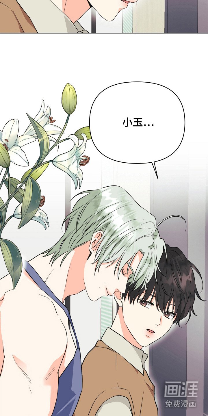 第8章：伴侣
