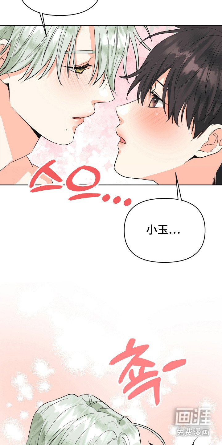 第8章：伴侣