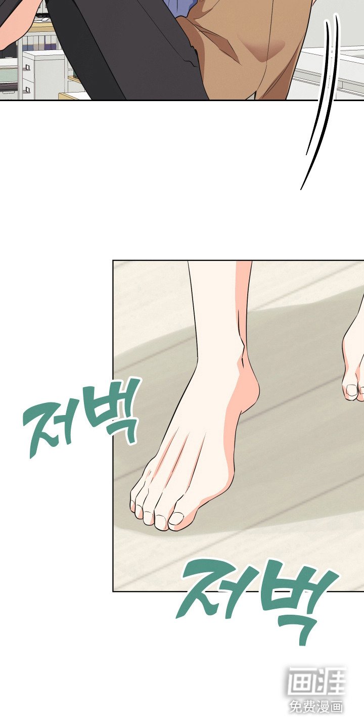 第8章：伴侣