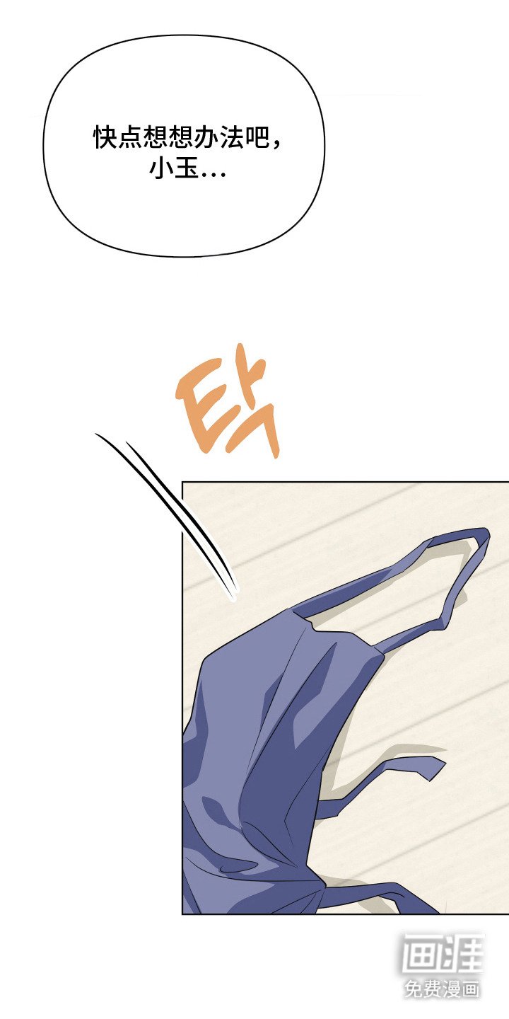 第8章：伴侣