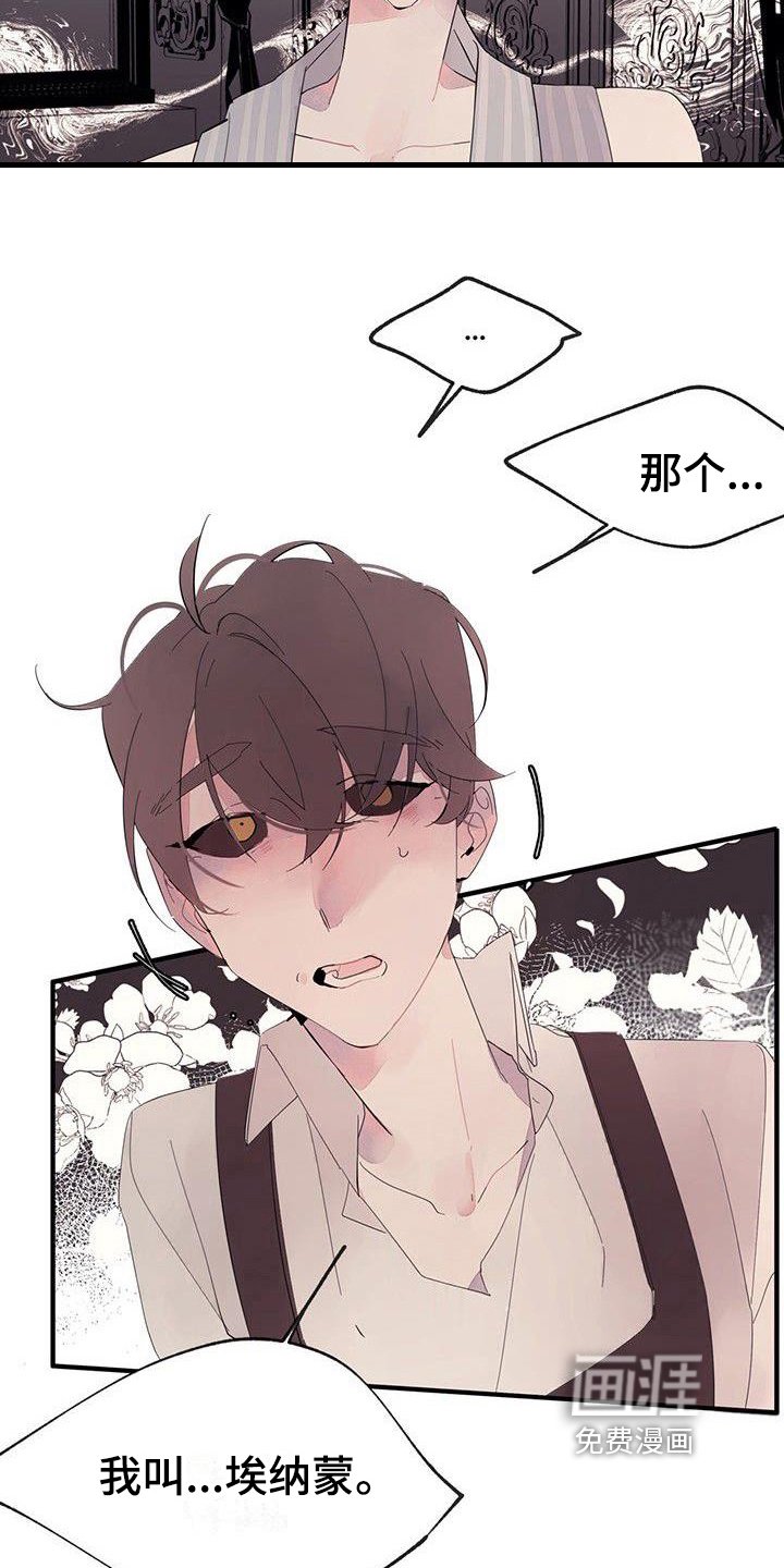 第13章：安排