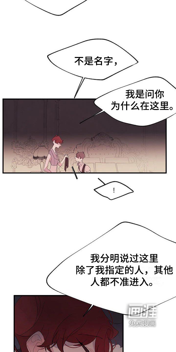 第13章：安排