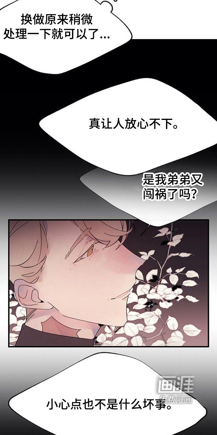 第13章：安排