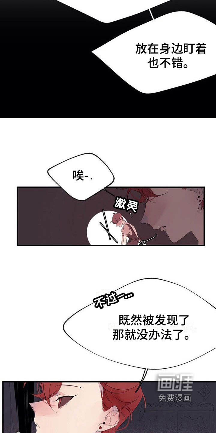 第13章：安排