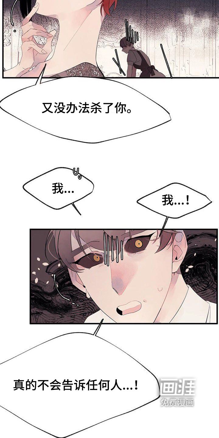 第13章：安排