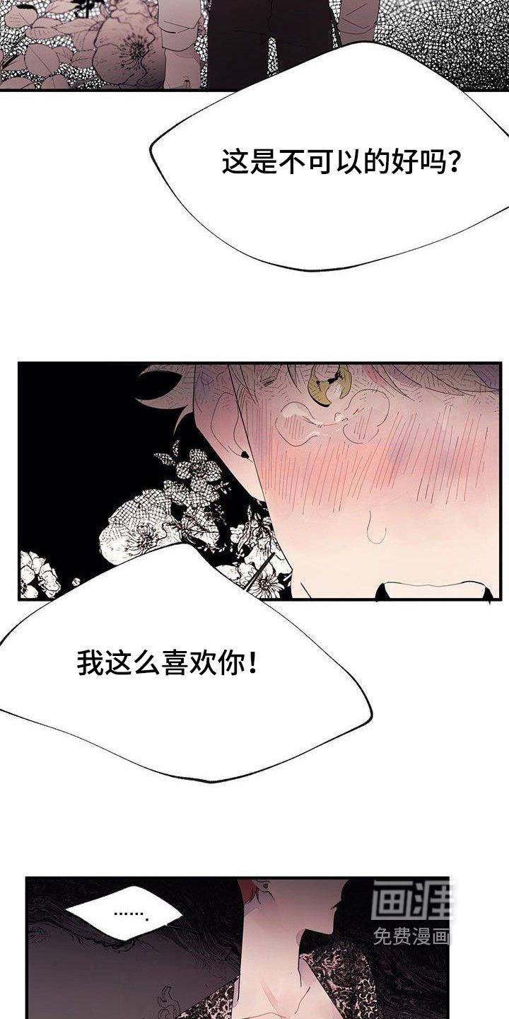 第15章：禁止接触