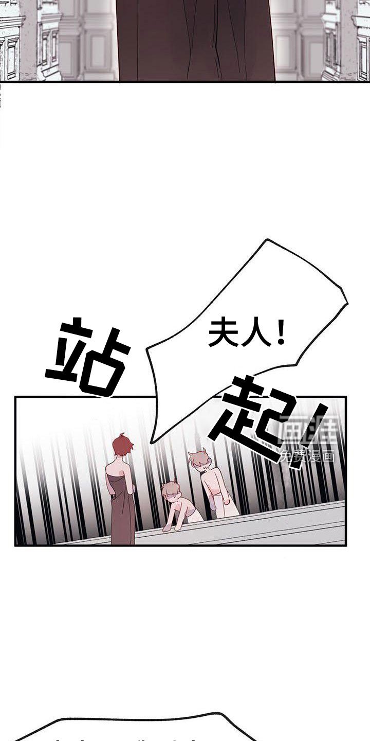 第17章： 冤枉啊