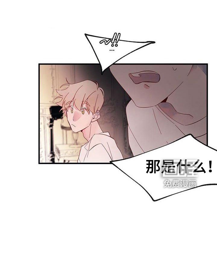 第17章： 冤枉啊