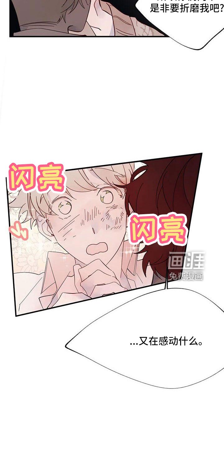 第20章：够了