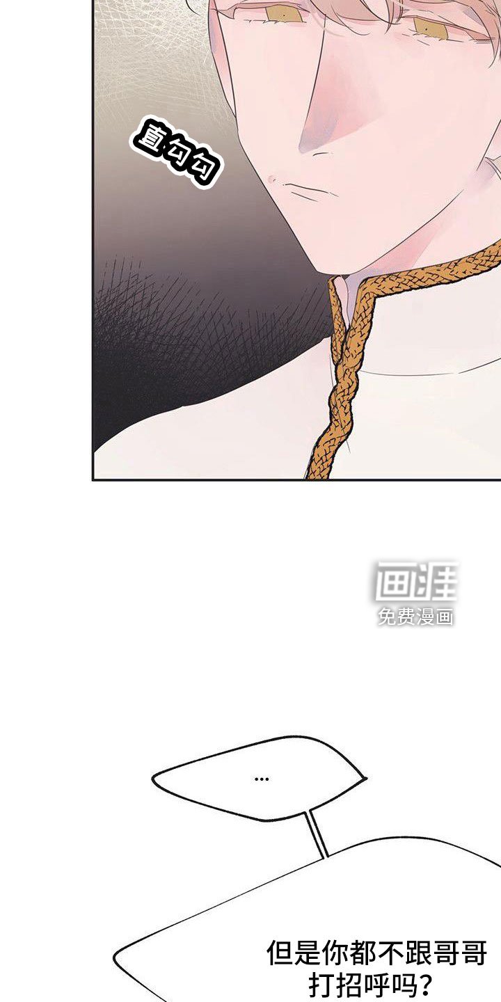第23章：太闲了吧
