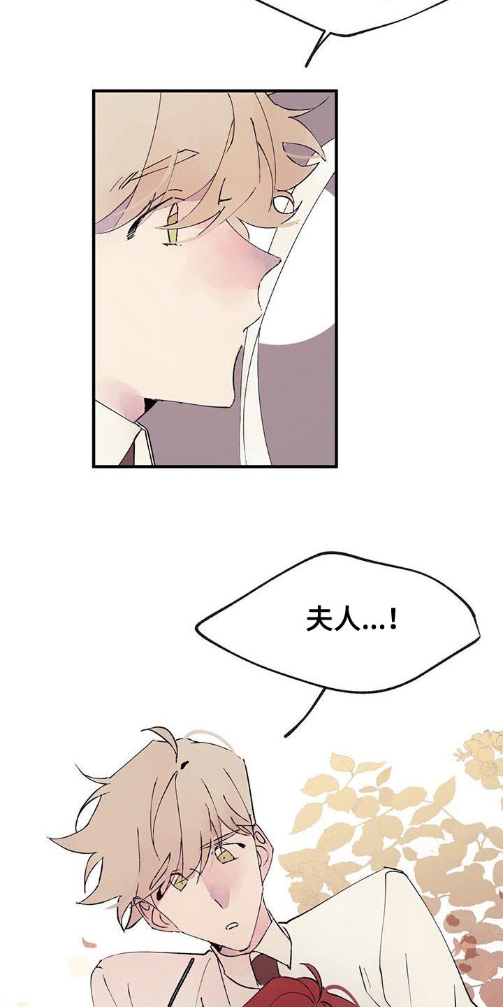 第3章：分离