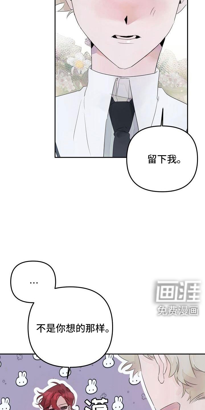 第37章：哭诉