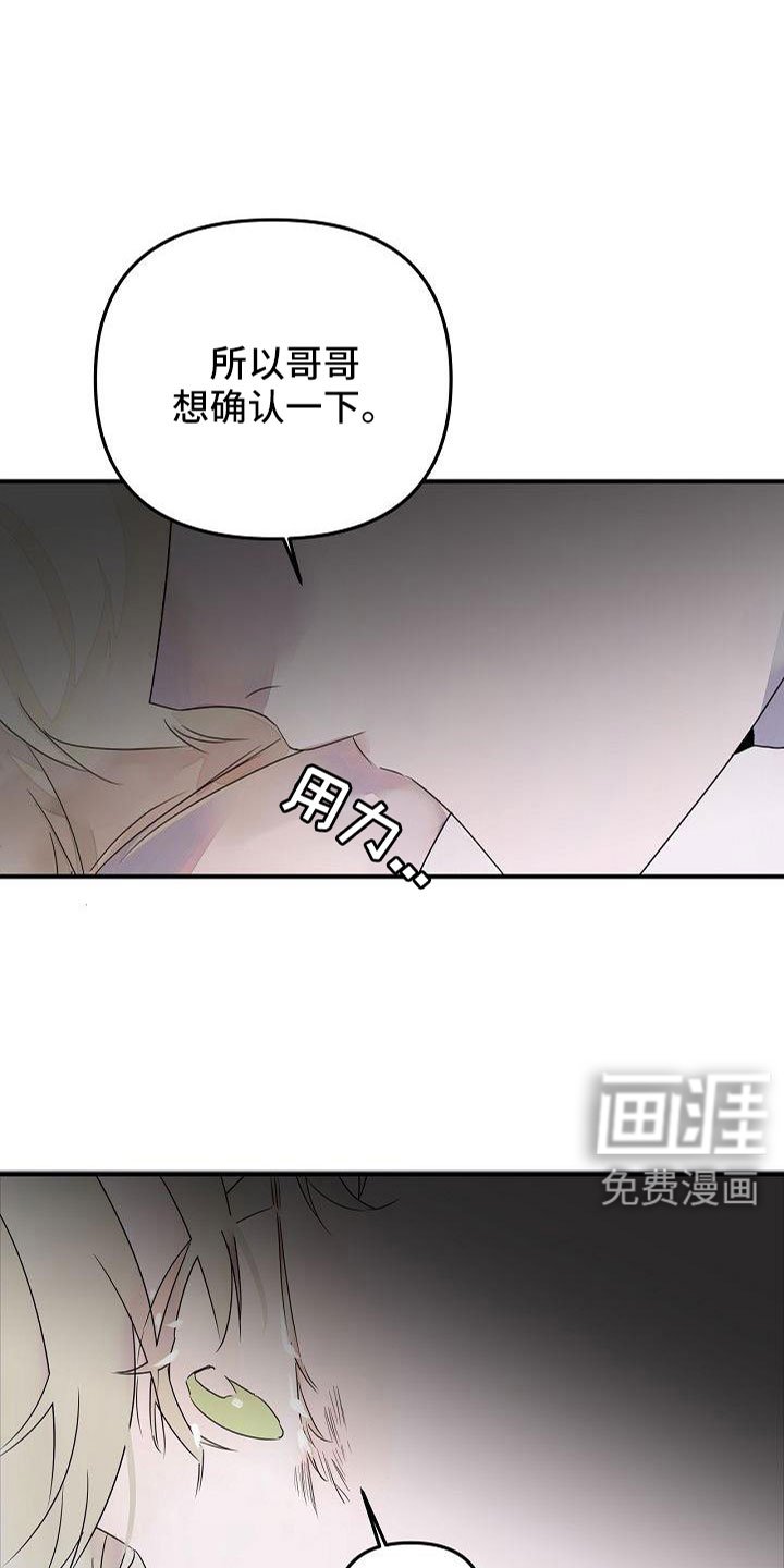 第38章：确认味道