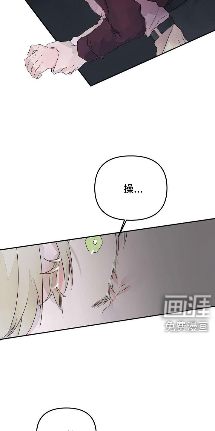 第38章：确认味道