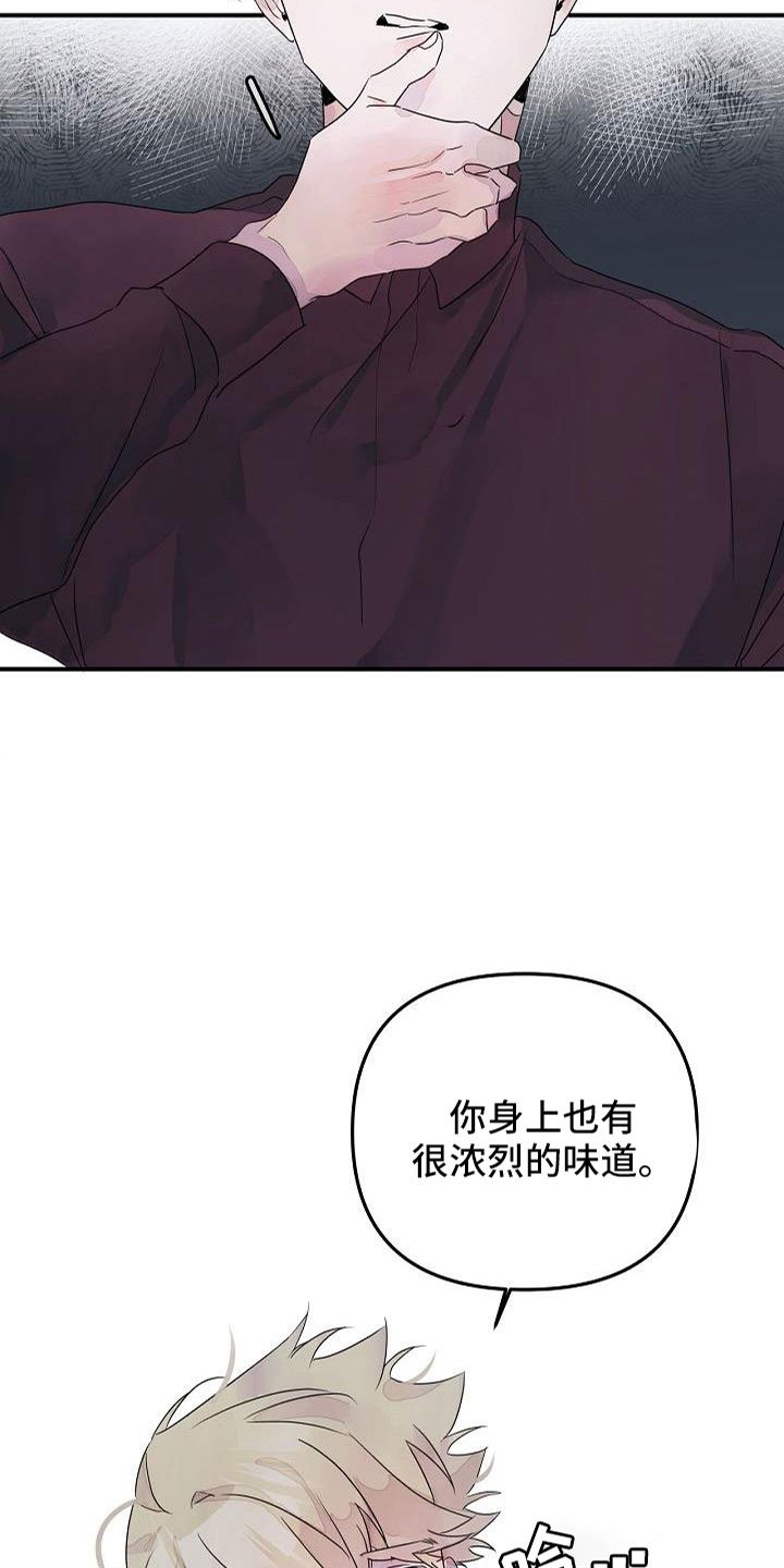 第38章：确认味道
