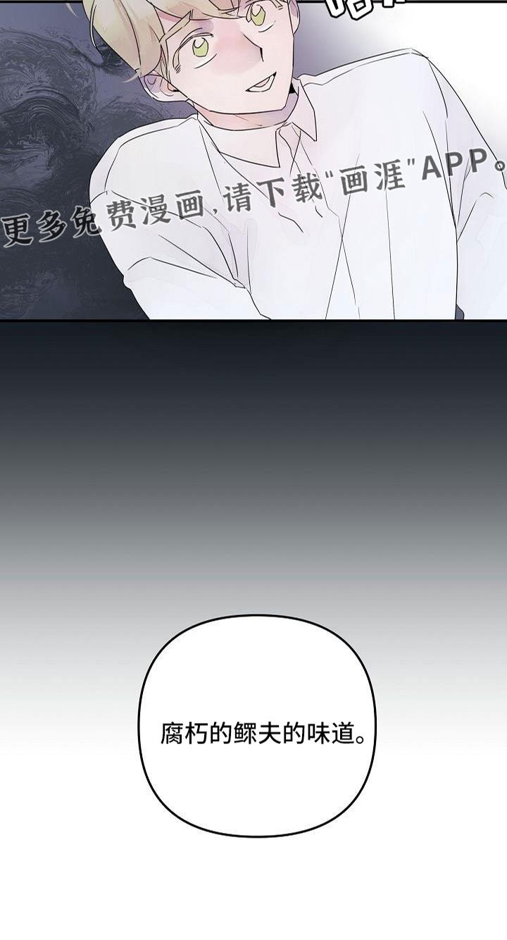 第38章：确认味道