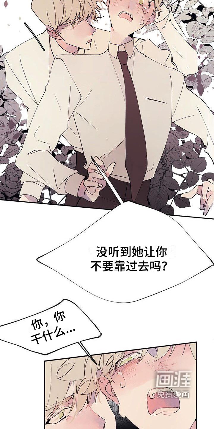 第4章：混乱