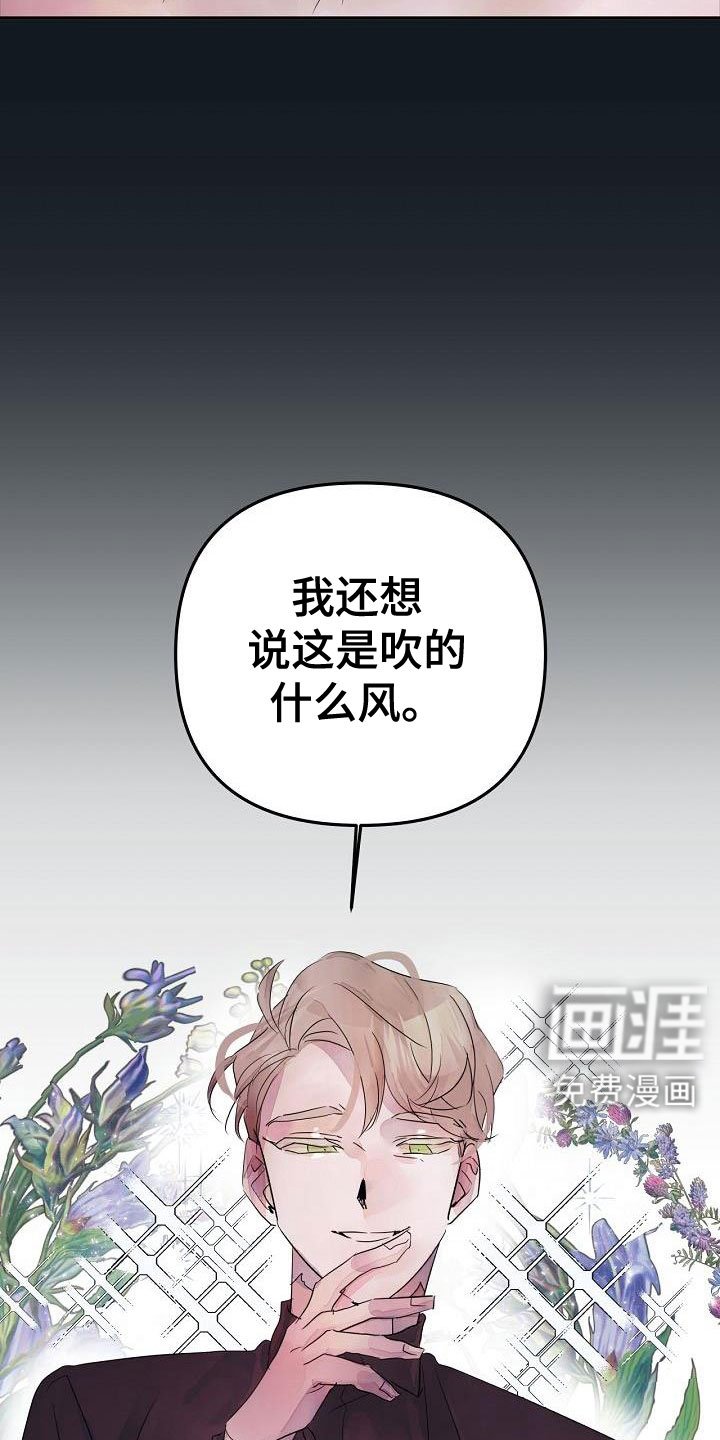 第41章：住手