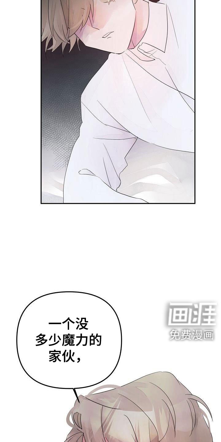 第41章：住手