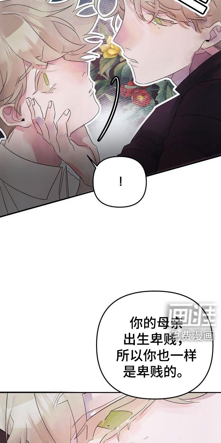 第41章：住手