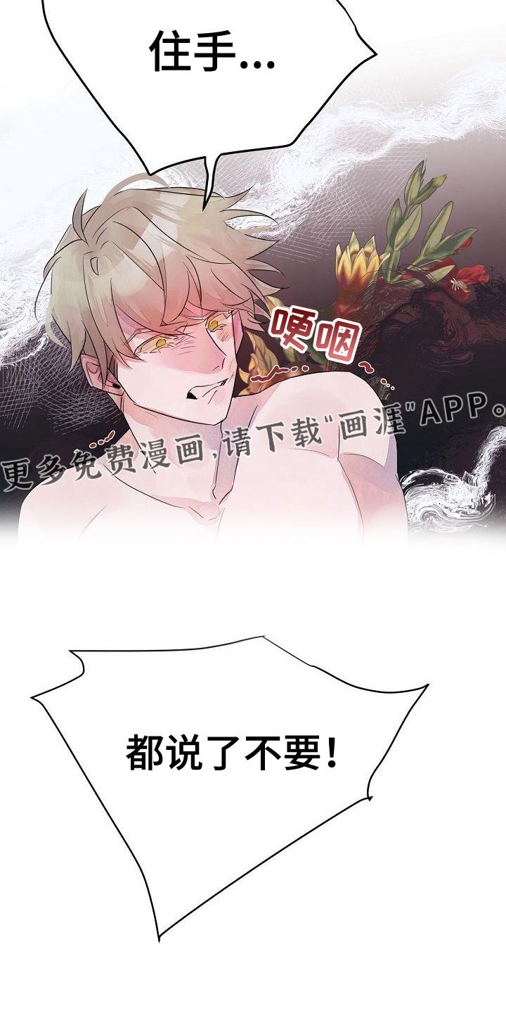 第41章：住手