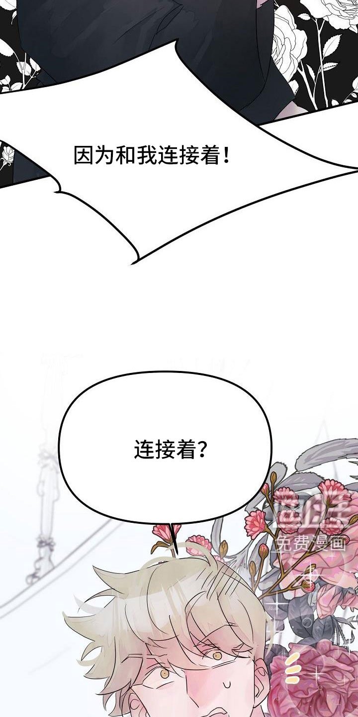 第44章：真的找死吧
