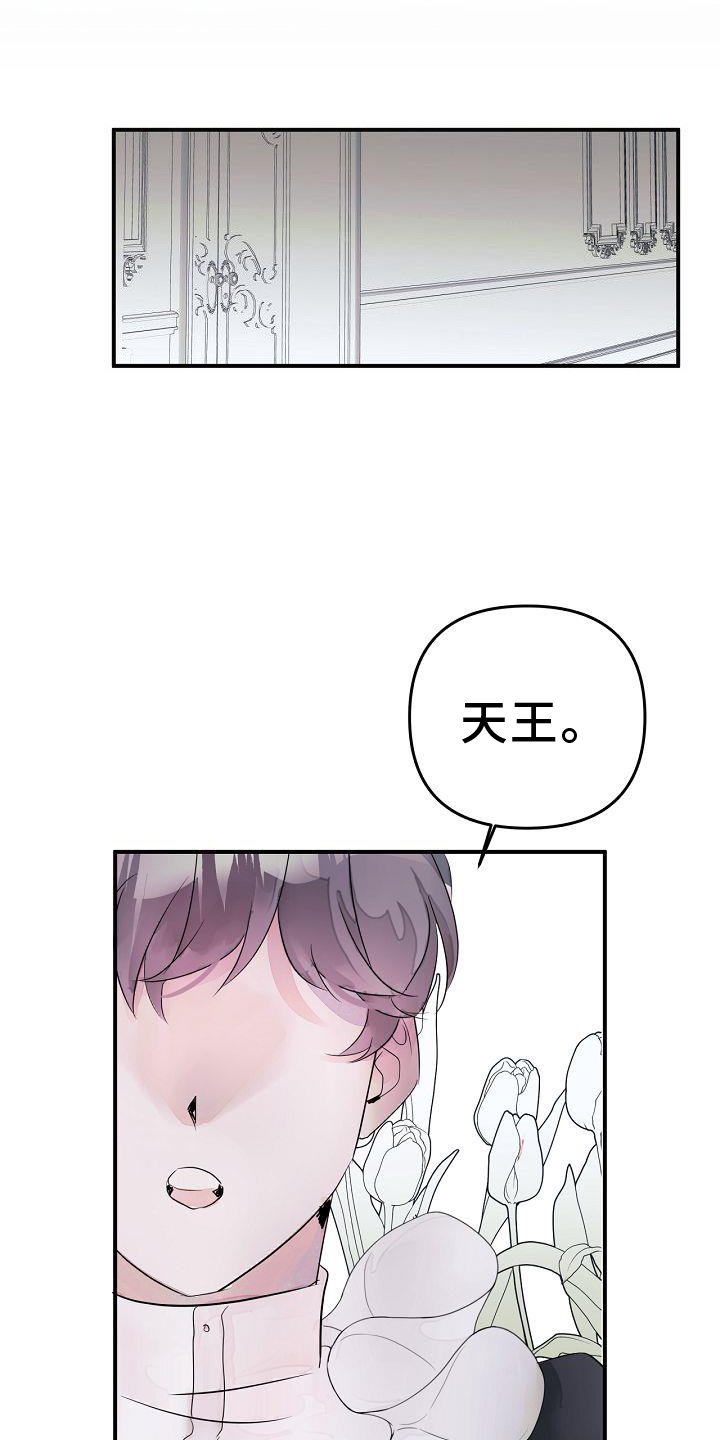 第46章：共同语言