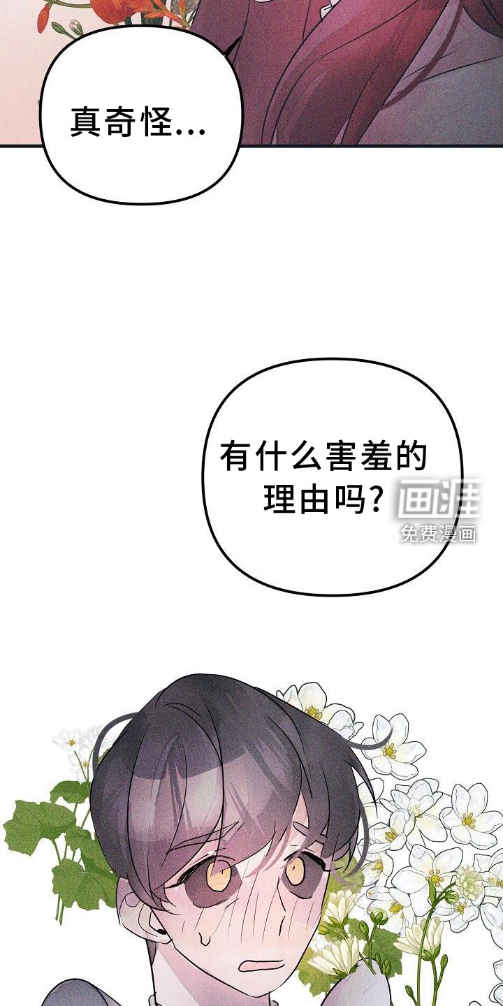 第46章：共同语言