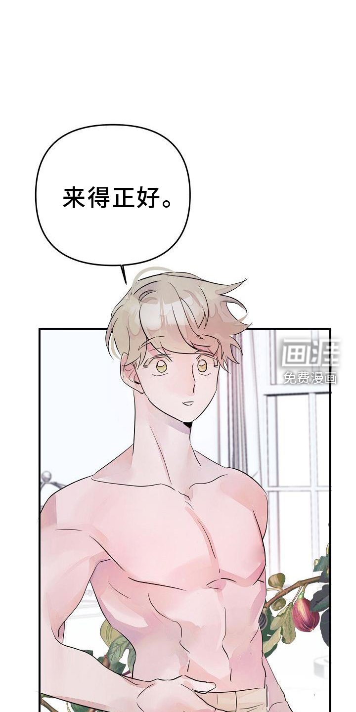 第46章：共同语言