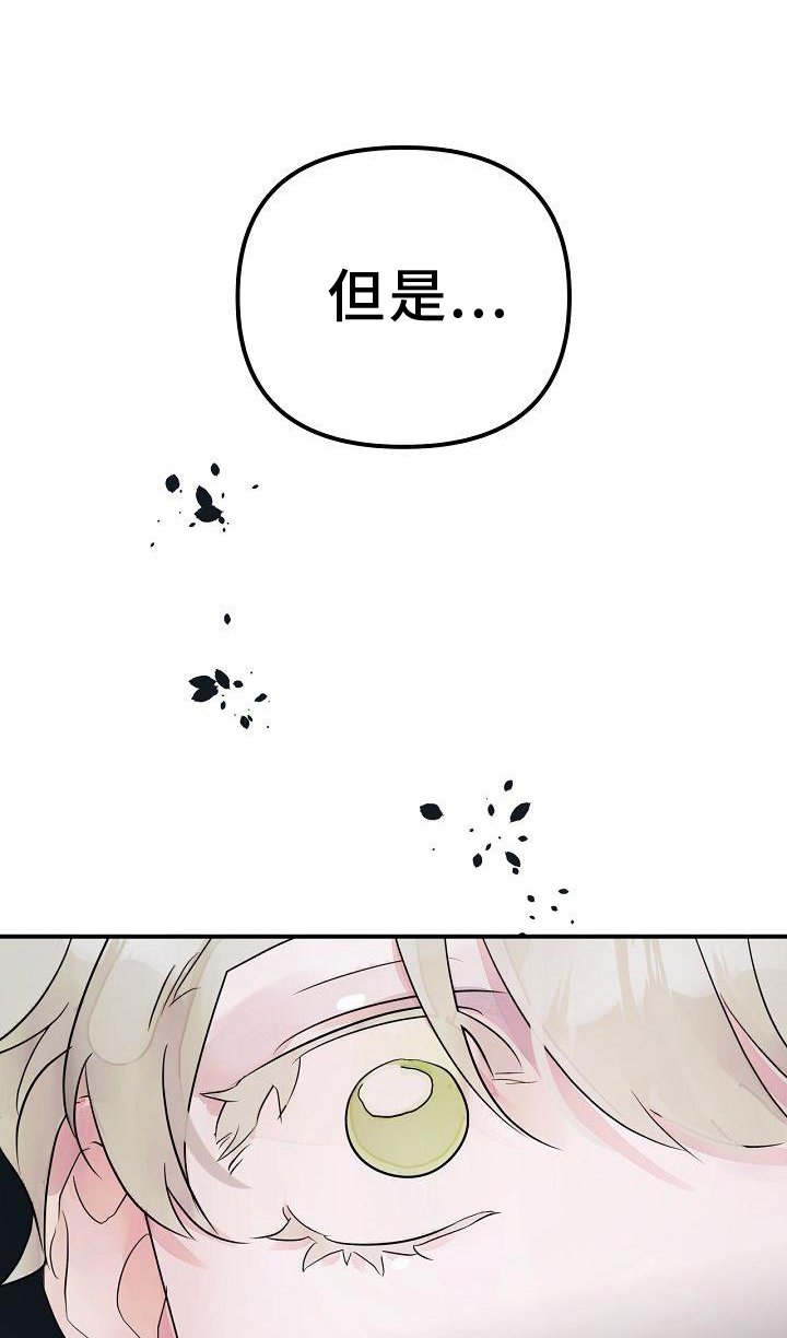第48章：合体