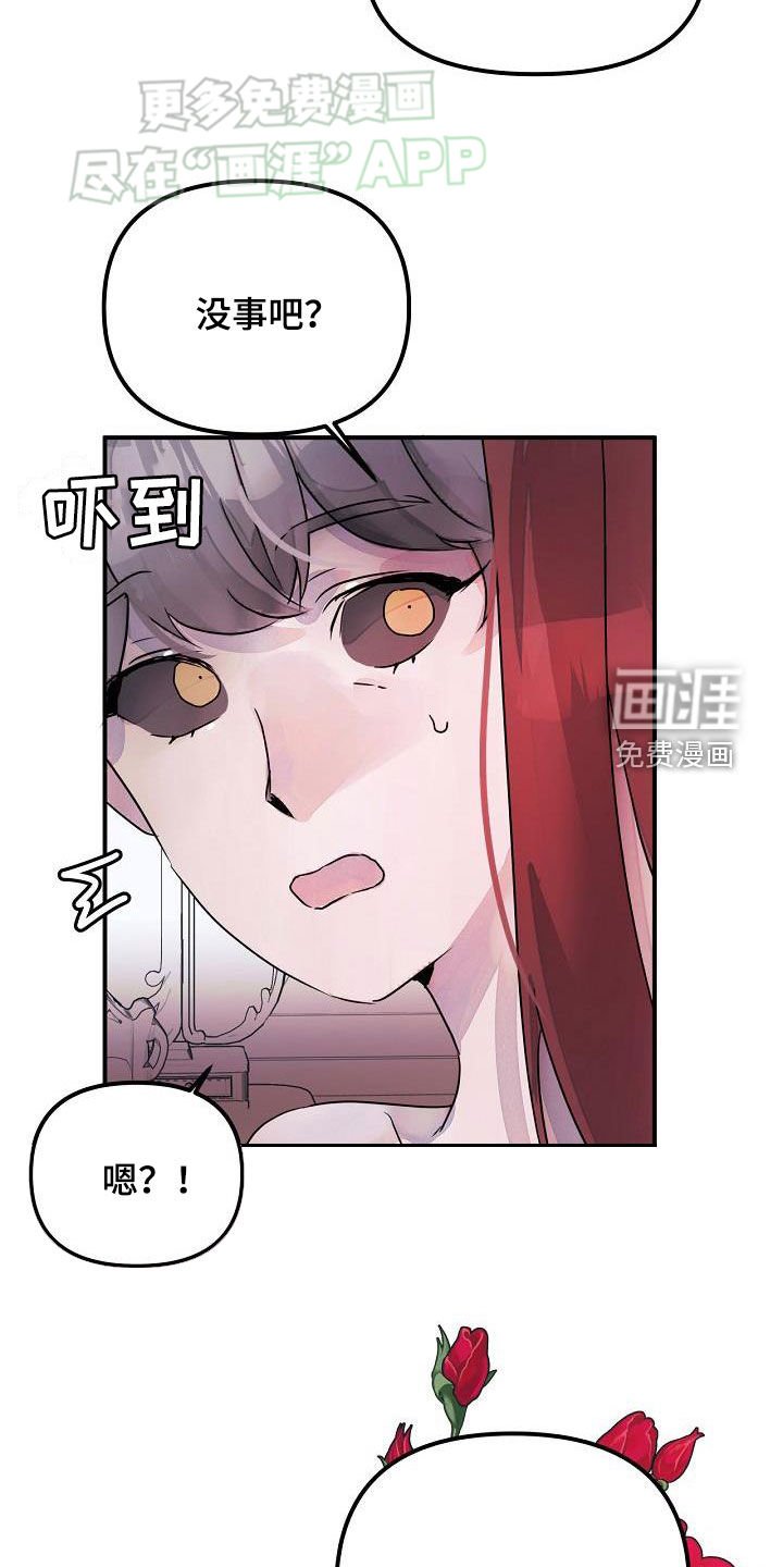 第51章：理想型