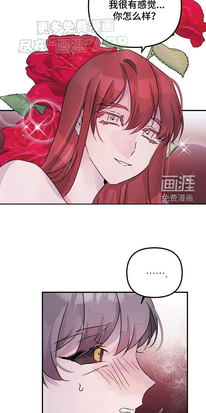第51章：理想型