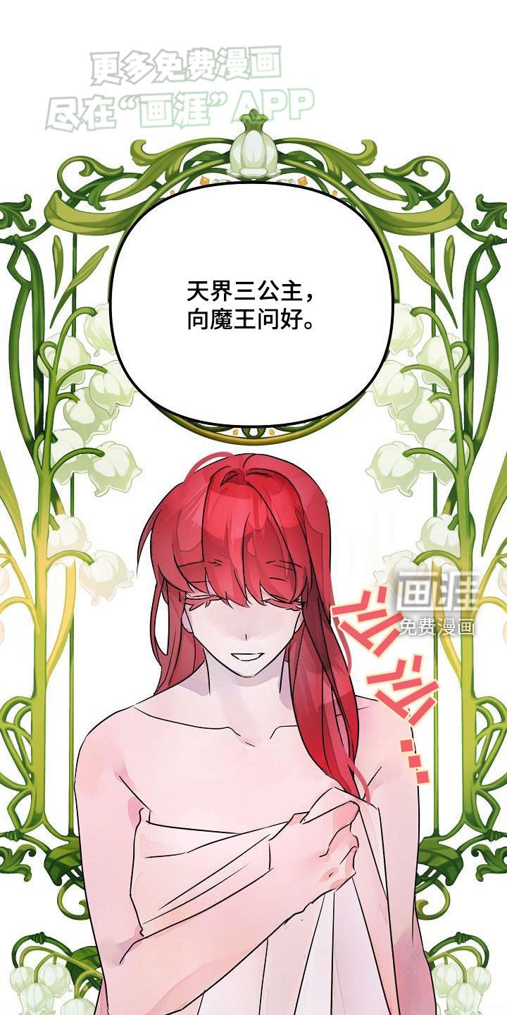 第51章：理想型