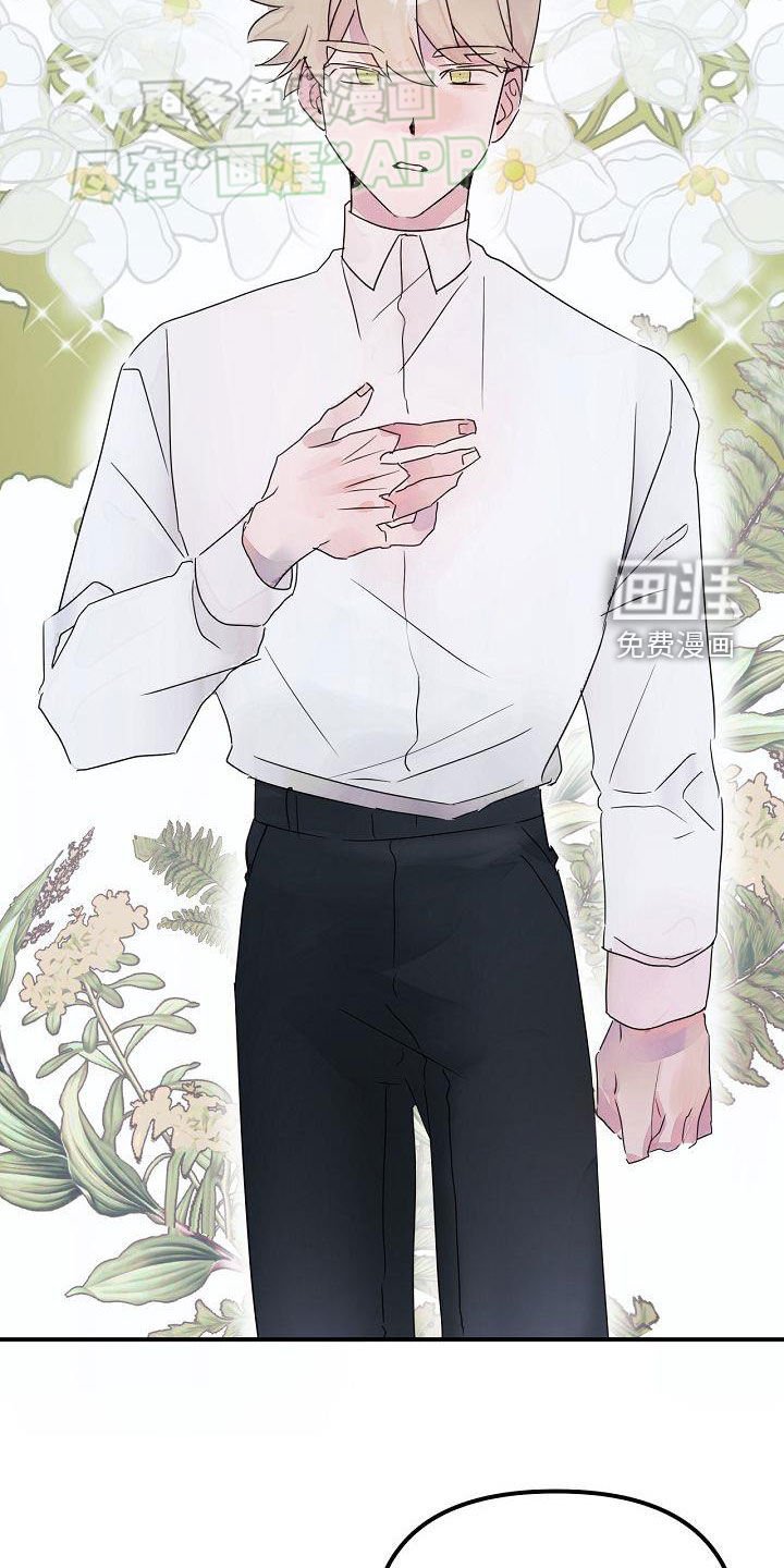 第52章：注定要结婚