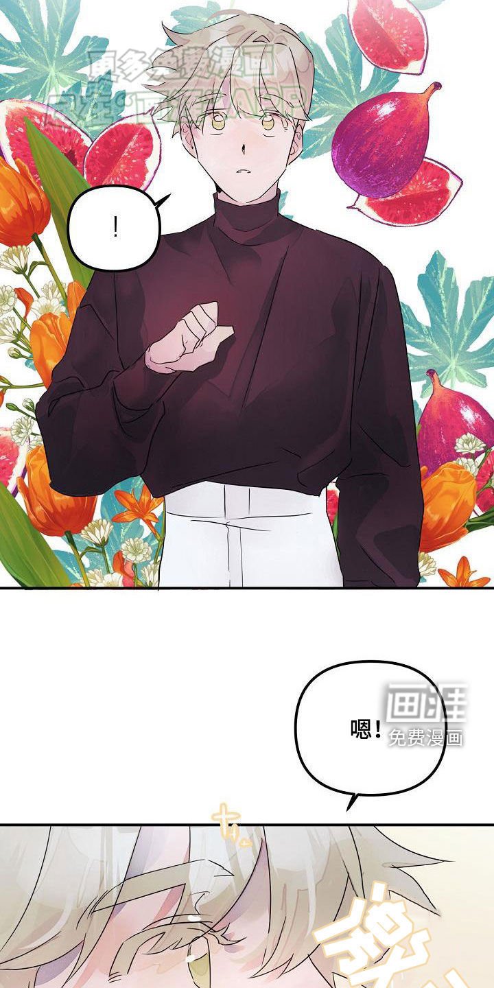 第53章：你没听错