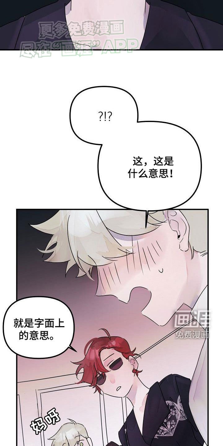 第53章：你没听错
