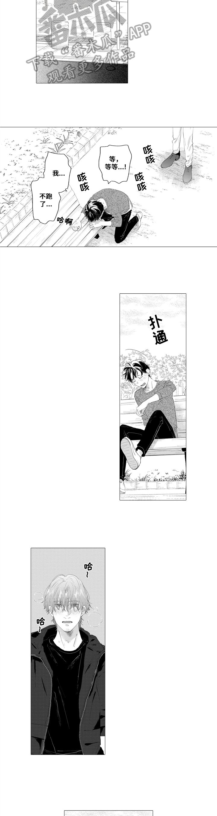 第21章：解释