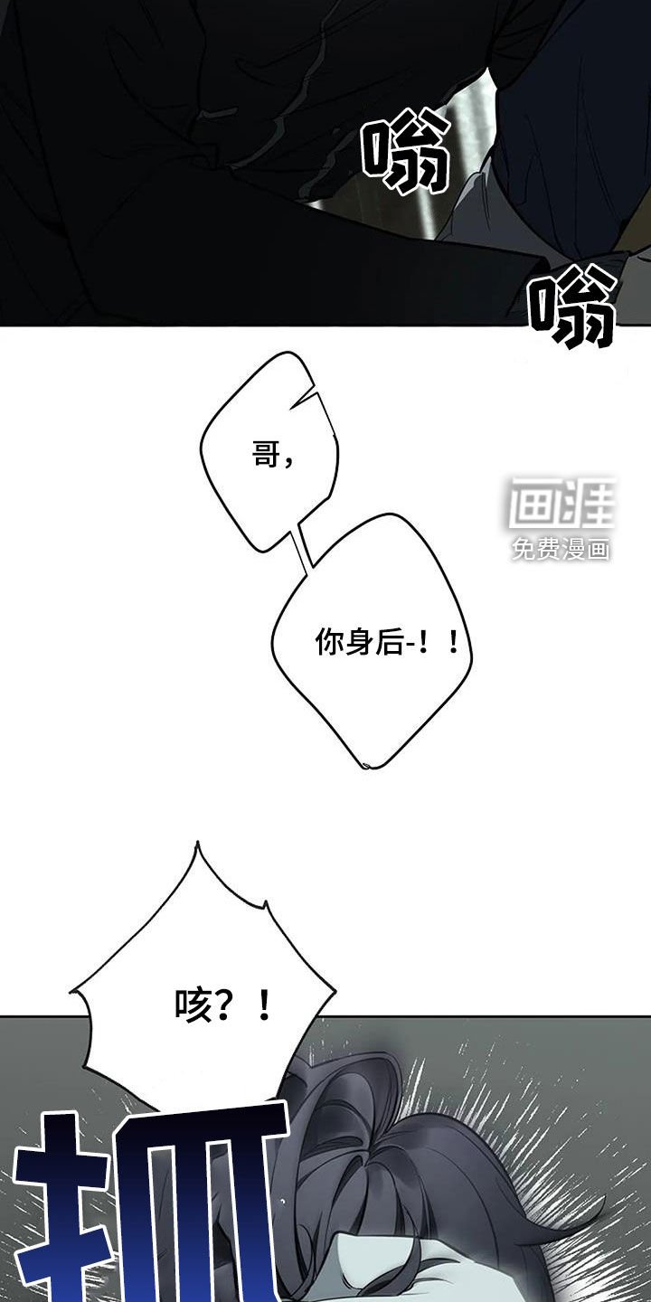 第117章：抓捕