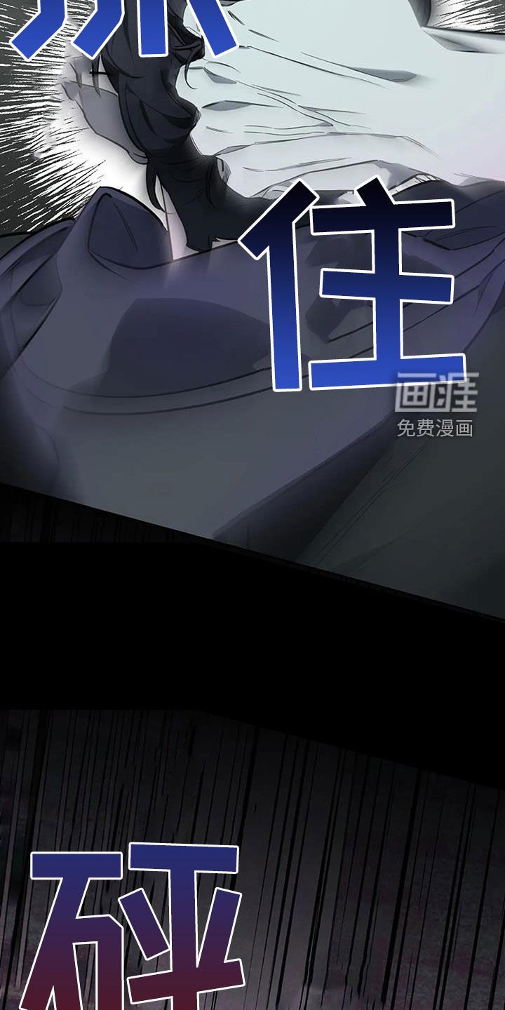 第117章：抓捕