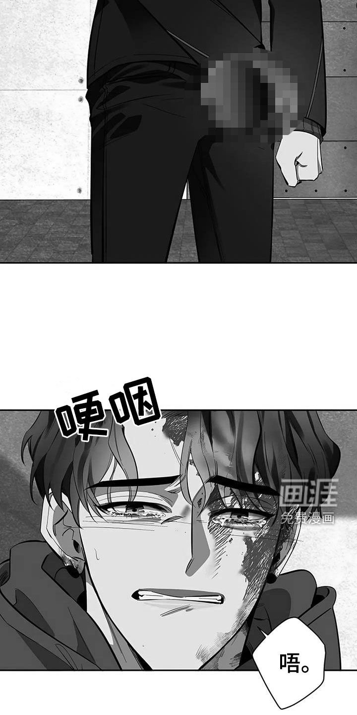 第118章：一切都结束了