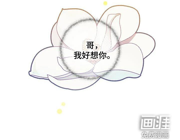 第119章：我好想你