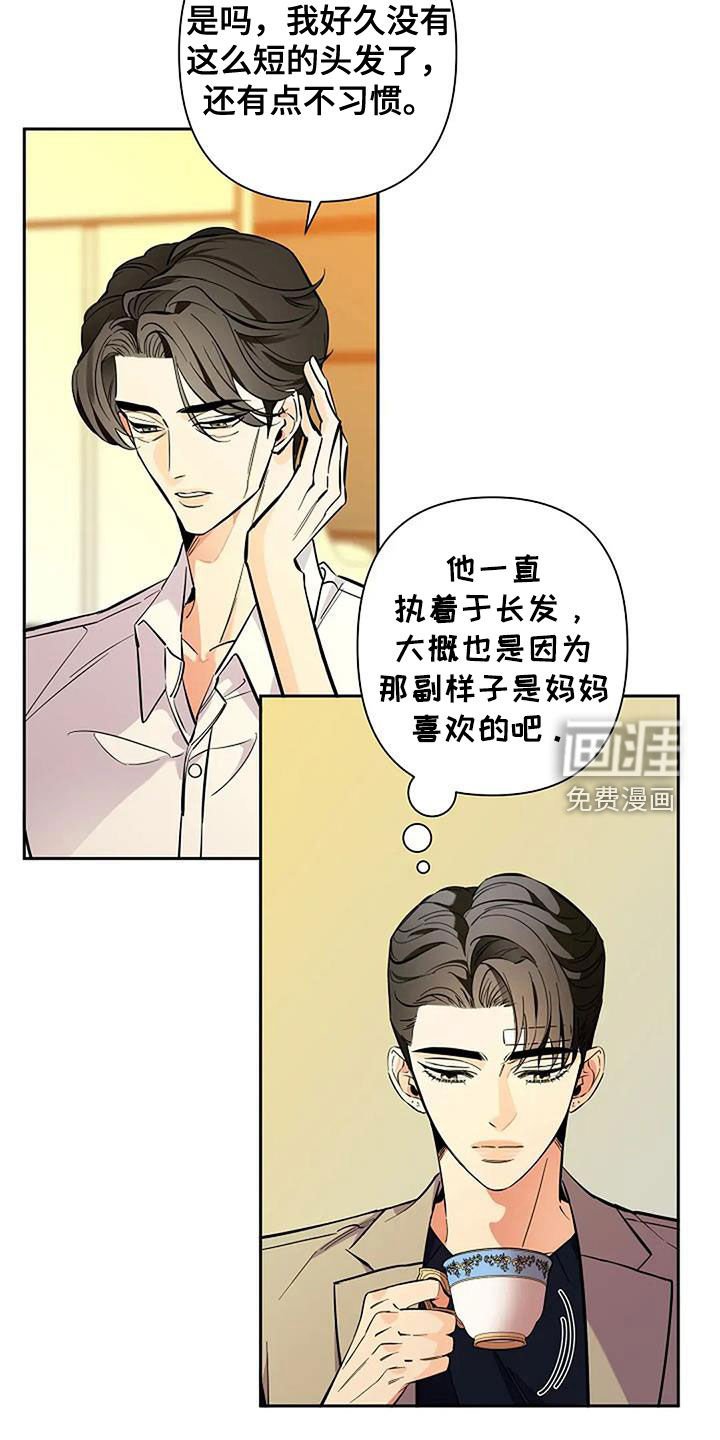 第132章：要不要去留学