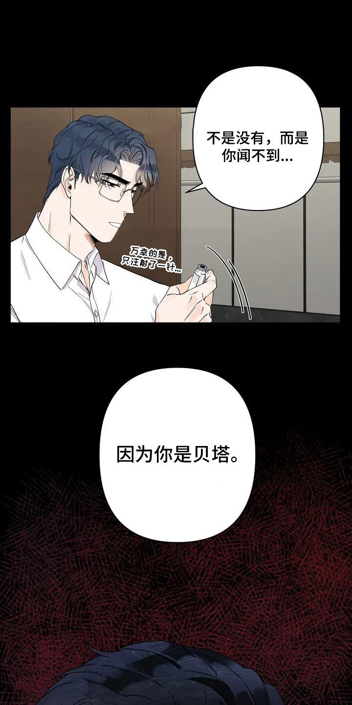 第2章：促进剂