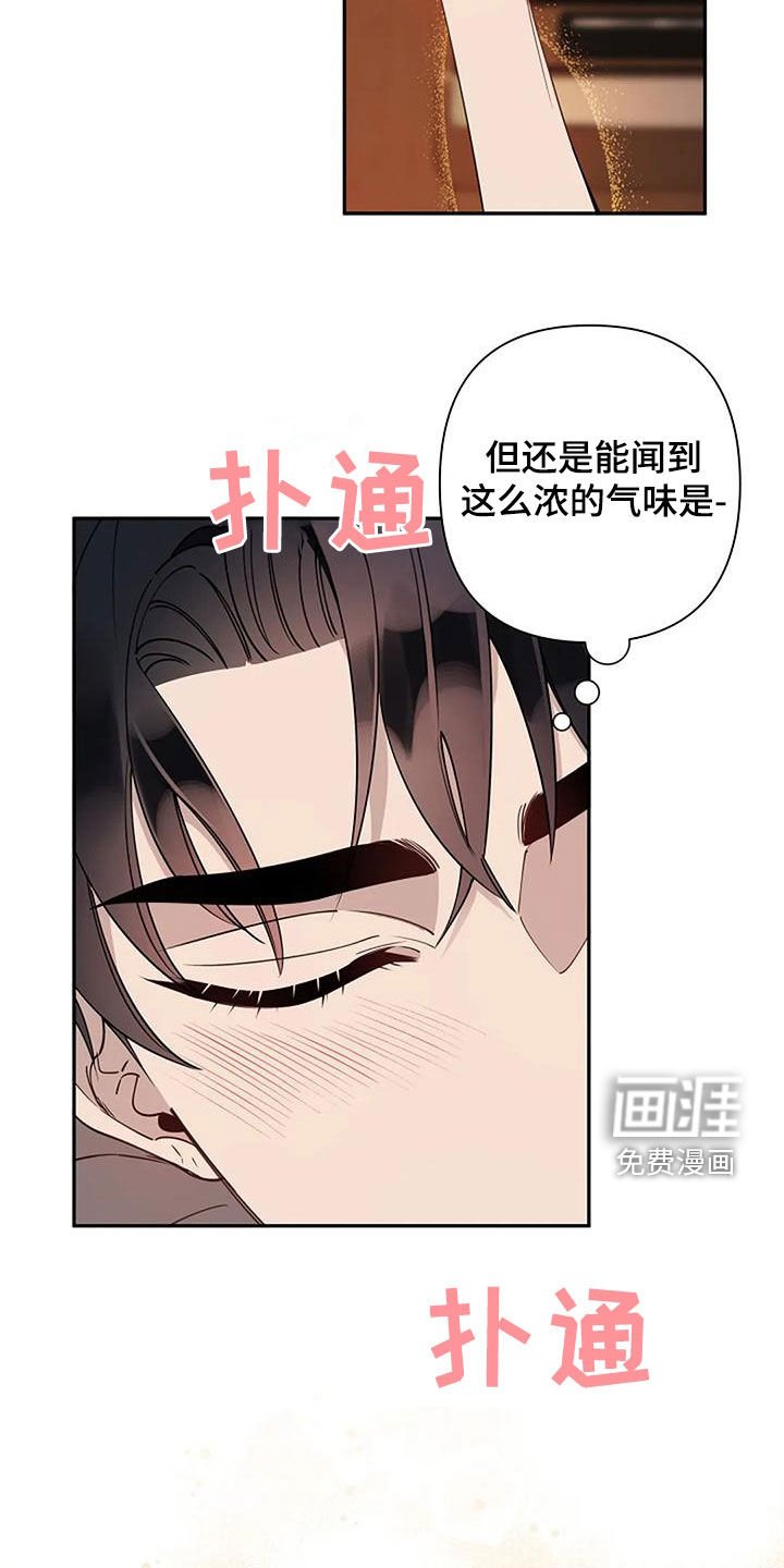 第26章：故意的吗