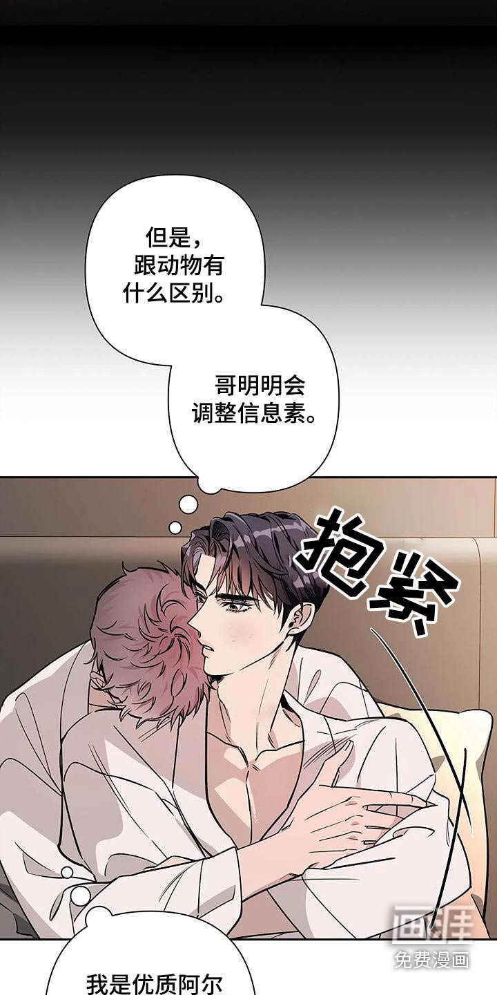 第37章：如果相爱
