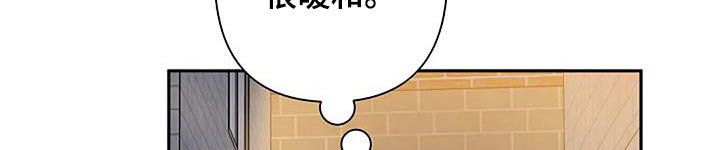 第40章：收尾