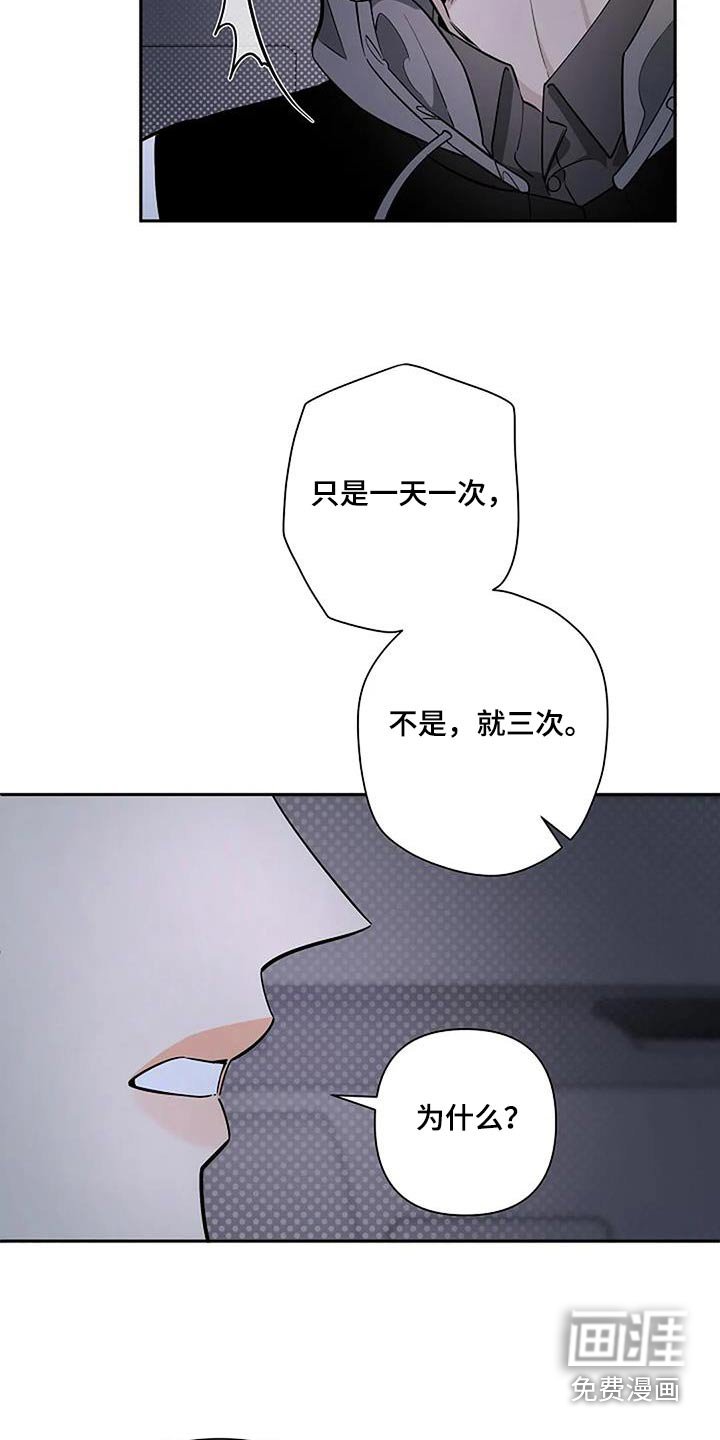 第43章：因为喜欢