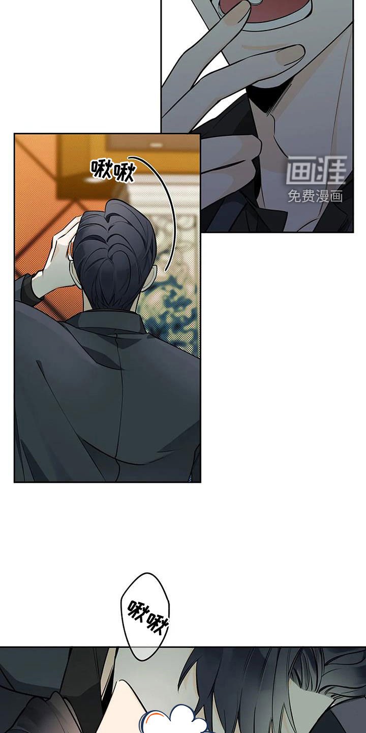 第64章：玫瑰香