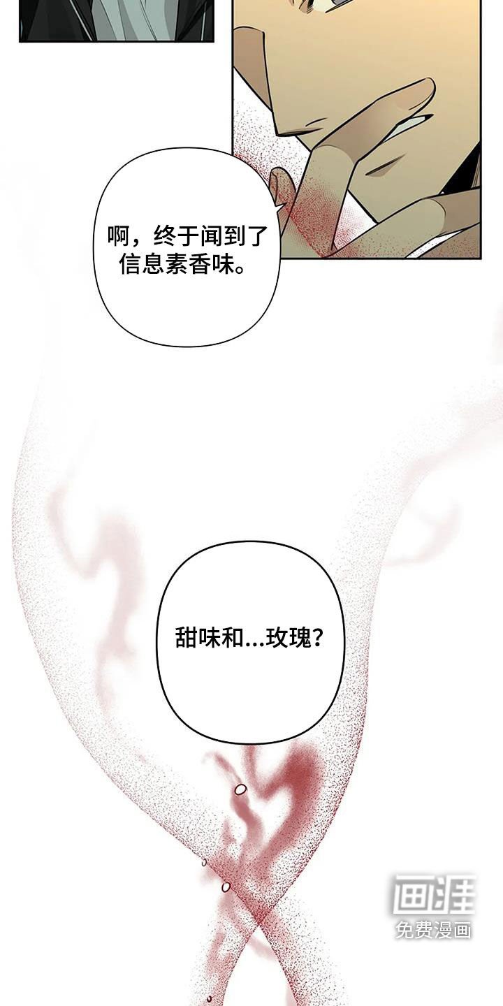 第64章：玫瑰香